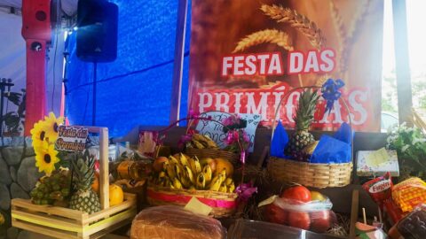 Festa das Primícias acontece pela primeira vez em Mato Grosso