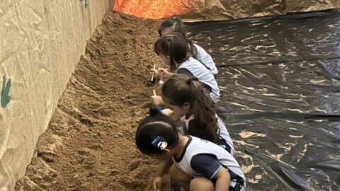 Estudantes da Educação Adventista em Cuiabá acham fósseis de dinossauro em escavação