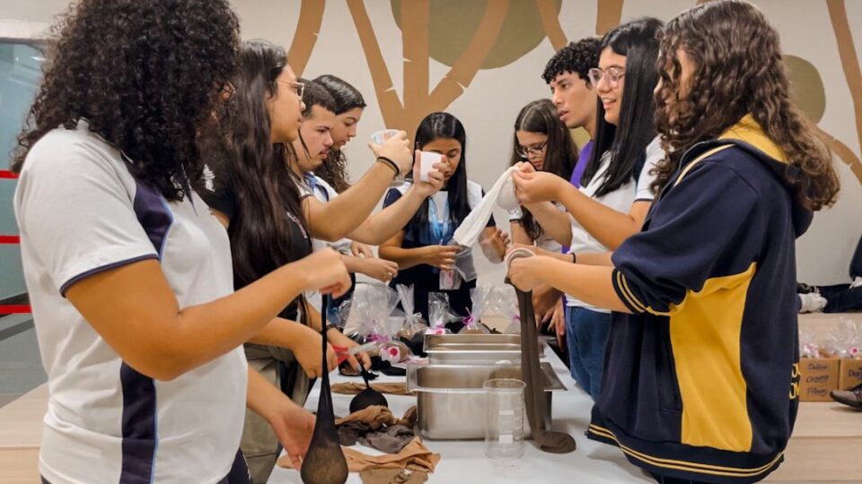 Estudantes do Ensino Médio confeccionam próteses de alpiste para doar a mulheres com câncer de mama (Foto: Isabella Anunciação)