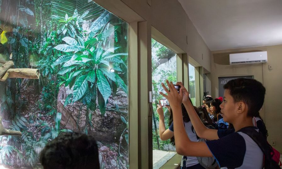 Alunos fotografando o serpentário do Museu Emílio Goeldi. (Foto: Daniele Nogueira)