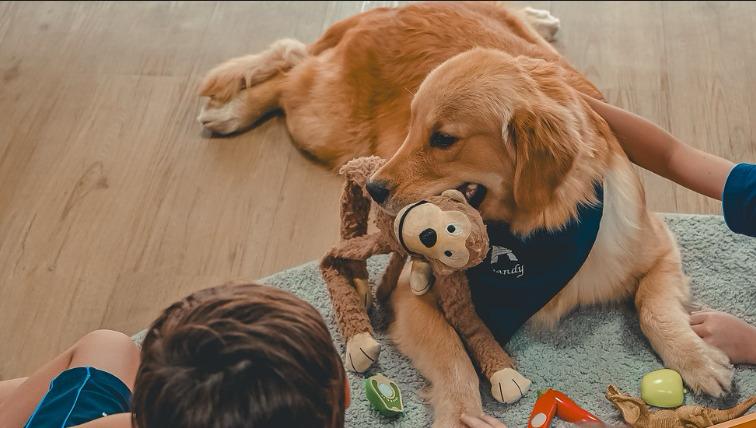 Sandy é a cadela que torna o dia a dia dos alunos mais leve e divertido (Foto: Thalles Paixão)