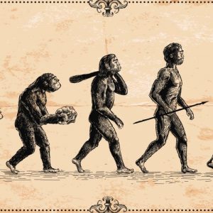 Evolución: ¿cristiana? ¿científica?