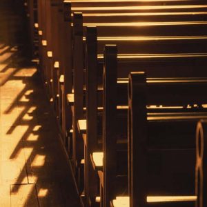 Fatores comuns em igrejas discipuladoras (Ppt)