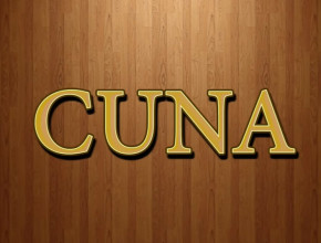 Cuna – Pretrimestral 3er 2014