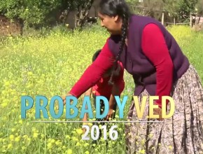 Trailer lanzamiento Probad y Ved 2016