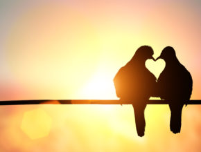 ¿El amor en una relación es para toda la vida?