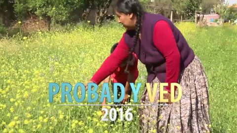 Trailer lanzamiento Probad y Ved 2016