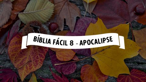 Bíblia Fácil 8 - Apocalipse - Duas testemunhas mártires