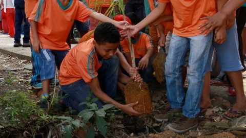 Crianças da ADRA participam da Semana da Árvore